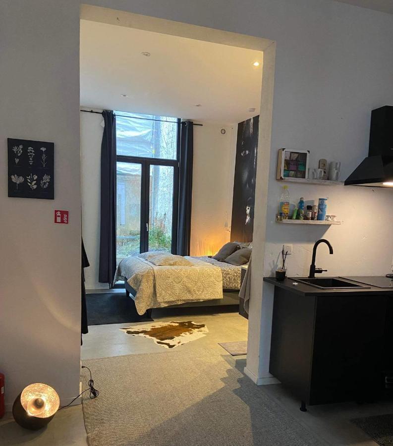 Garden Suite In City Center Amberes Exterior foto